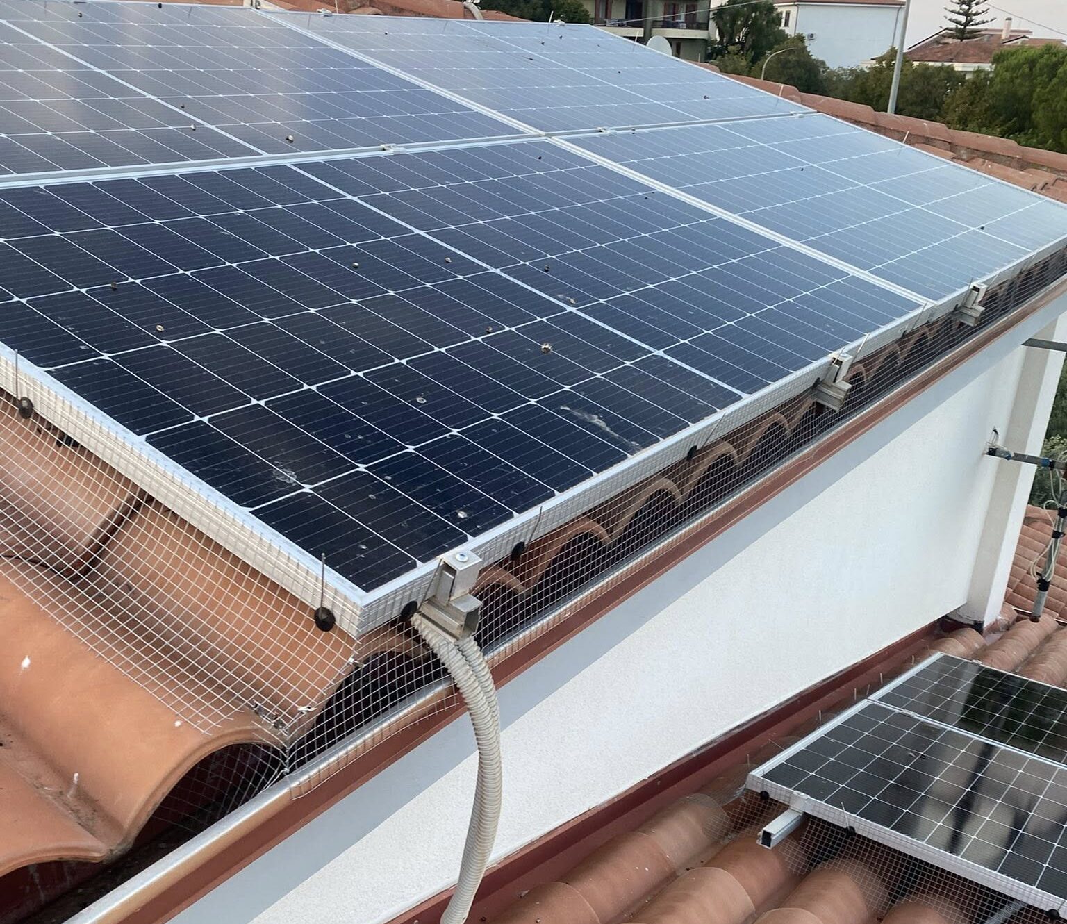 Bird Proofing Bird Proofing