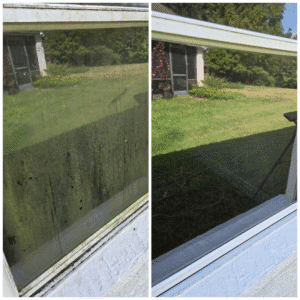 photo-collage.png(2)